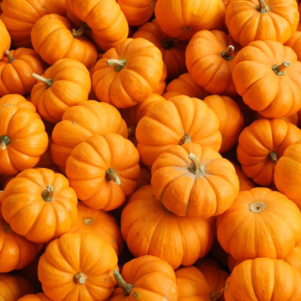 Velouté de Potiron Bio - 3 x 48cl