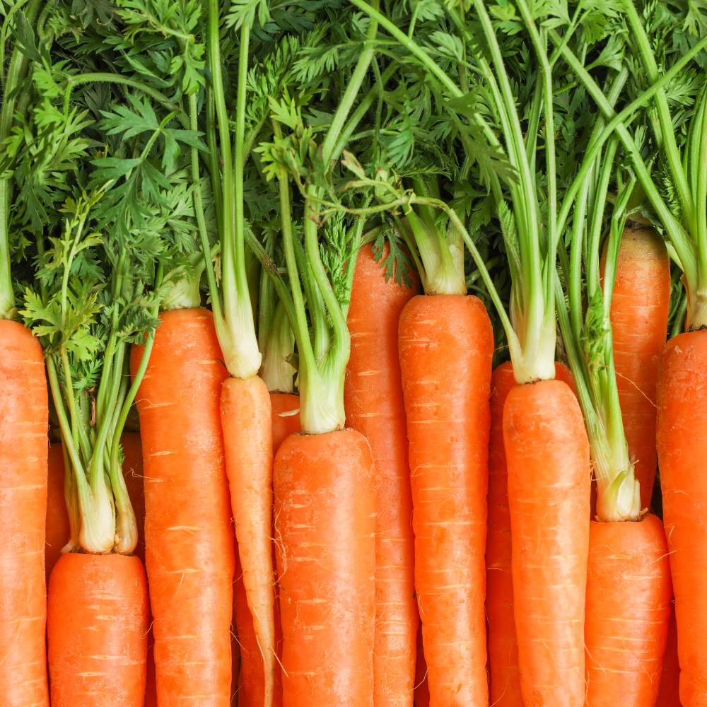 Soupe Carotte Miel Romarin Bio - 3 x 48cl