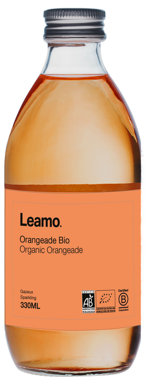 Orangeade bio - 33cl